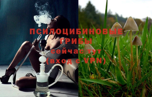 а пвп мука Баксан