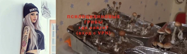 а пвп мука Баксан