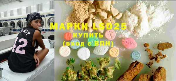ПСИЛОЦИБИНОВЫЕ ГРИБЫ Балабаново