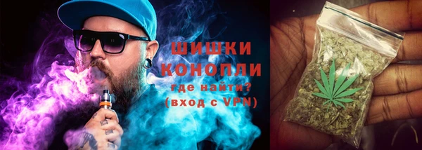 гидра Балахна