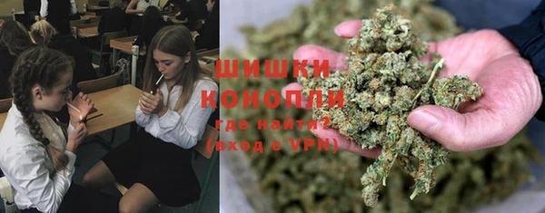 ПСИЛОЦИБИНОВЫЕ ГРИБЫ Балабаново
