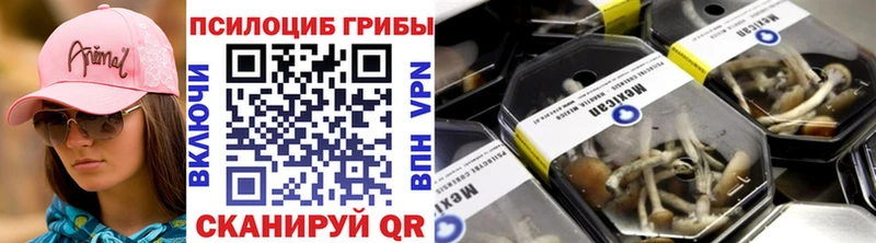 где купить   Давлеканово  Псилоцибиновые грибы ЛСД 